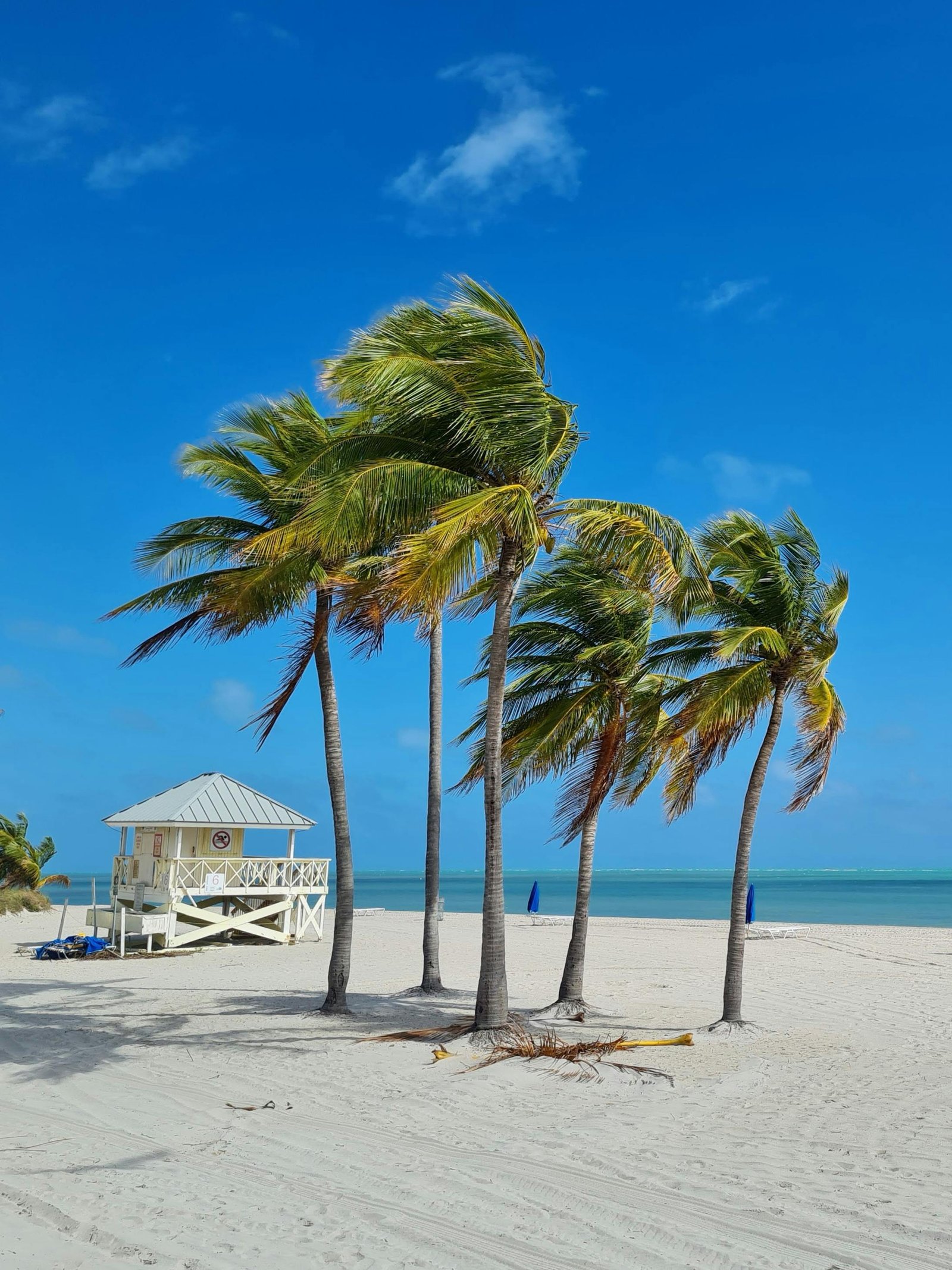 Miami Magic: Sun-Kissed Beaches, Art Deco Vibes, and the Gateway to Latin Culture